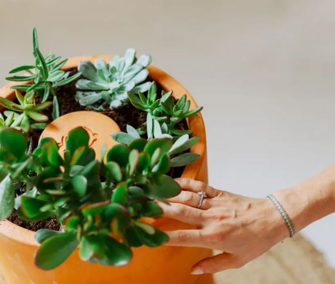 Composteur Flower 2 étages + Terreau + Vers