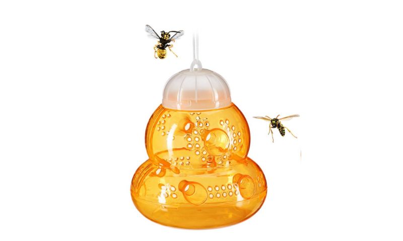 Piège à guêpe extérieur : en lot de 2 ou de 6