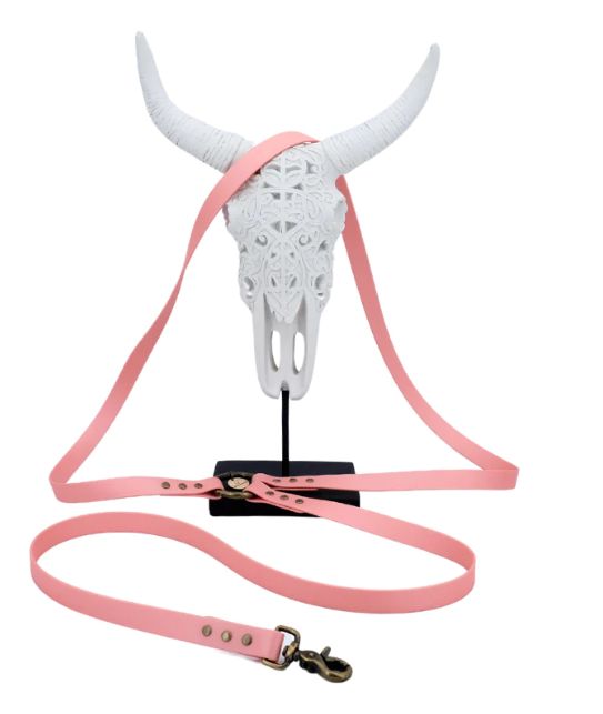 Kitsuné Dog- laisse Biothane