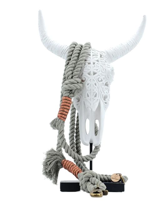 [240325_7314] Kitsuné Dog- laisse corde (Laisse chien Main libre corde- Longueur-2.50m)